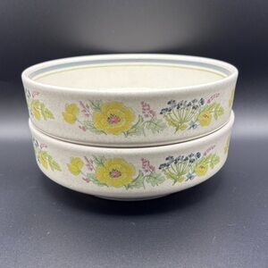 Set of 2 Lenox "Summer Spice" Temperware coupe cereal bowls